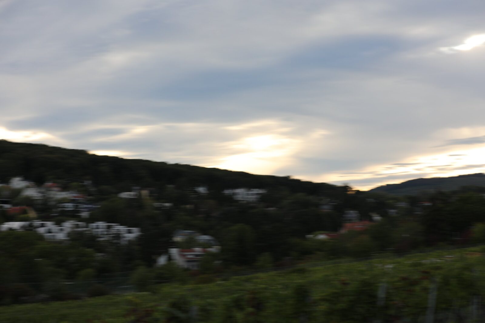 5Z6A3337