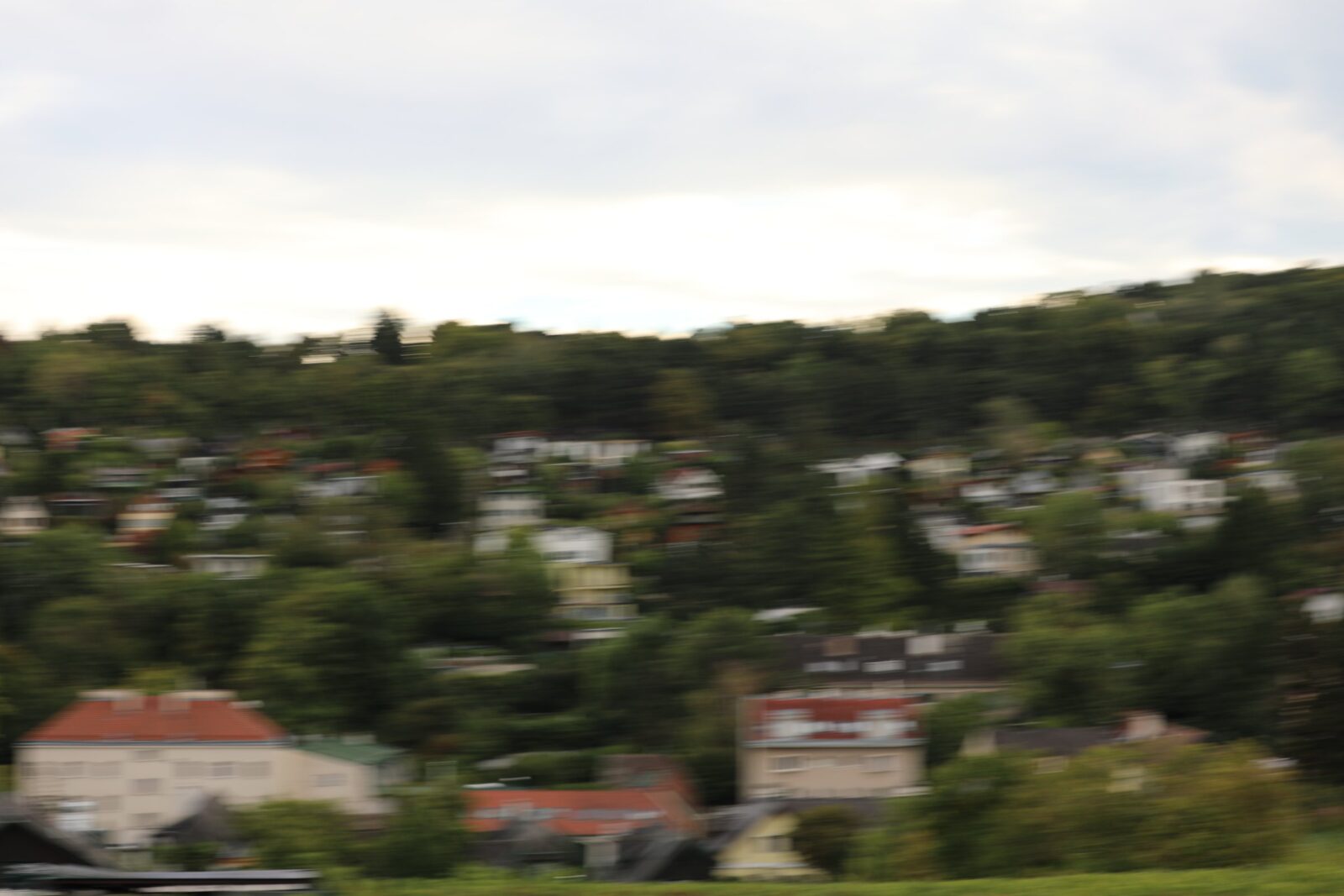5Z6A3341