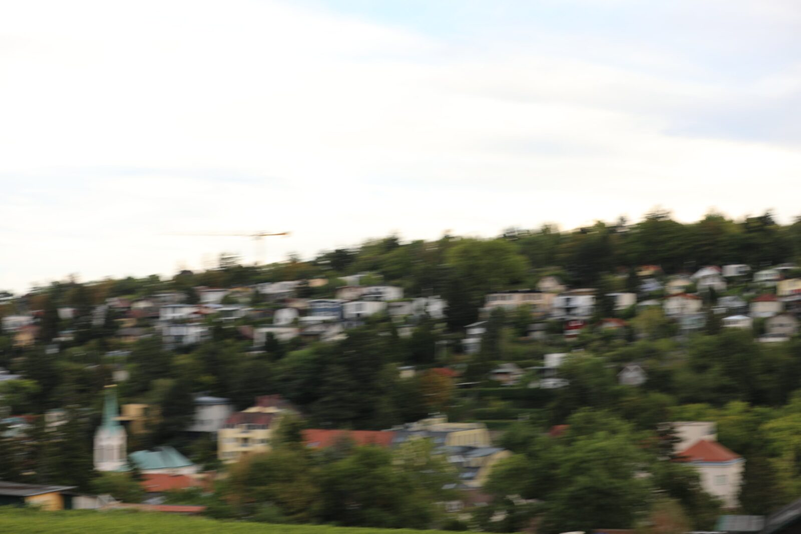 5Z6A3342
